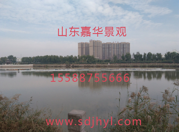 ɽƯȪ
